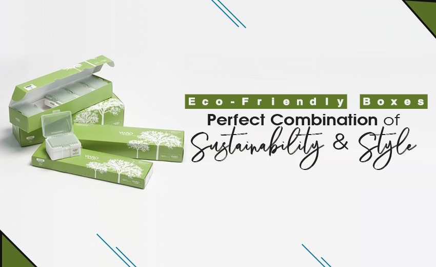 eco-friendly-boxes-perfect-combination-of-sustainability-and-style